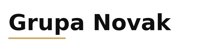 Grupa Novak logo